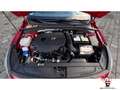 Hyundai i30 2.0 T-GDI Fastback N Performance+Pano+Leder+Kamera Rojo - thumbnail 18