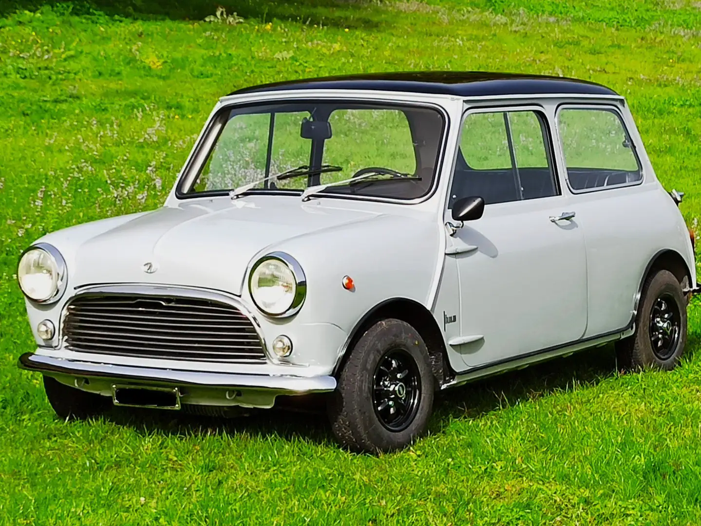 Innocenti Mini Gris - 1