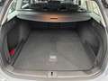 Volkswagen Passat Variant 2.0 TDI DSG BUSINESS +LED +ACC +RKAM +NAVI +SHZ + Grau - thumbnail 15
