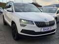 Skoda Karoq Style -BusinessPaket/SR+WR/Gepflegt- Bianco - thumbnail 29