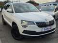 Skoda Karoq Style -BusinessPaket/SR+WR/Gepflegt- Bianco - thumbnail 5