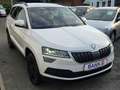Skoda Karoq Style -BusinessPaket/SR+WR/Gepflegt- Bianco - thumbnail 9
