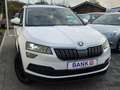 Skoda Karoq Style -BusinessPaket/SR+WR/Gepflegt- Bianco - thumbnail 2
