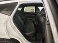 Hyundai TUCSON Hyundai FL (MY25) 1.6 T-GDI (160 PS) 48V 7-DCT 4WD Weiß - thumbnail 14