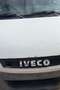 Iveco Massif 3.0 SW 176cv 3p N1 Bianco - thumbnail 7