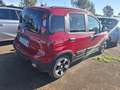 Fiat Panda Panda Cross 1.0 FireFly S&S Hybrid Rot - thumbnail 4
