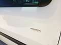 Renault Kangoo 1.5 blue dci Limited 95cv Bianco - thumbnail 10