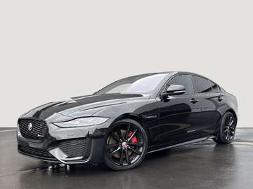 P250 R-Dynamic Black Winter-Paket Meridian Surroun