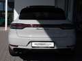 Porsche Macan 2.9 Turbo FACEL. PANO AHK SITZBELÜFTUNG Gris - thumbnail 5