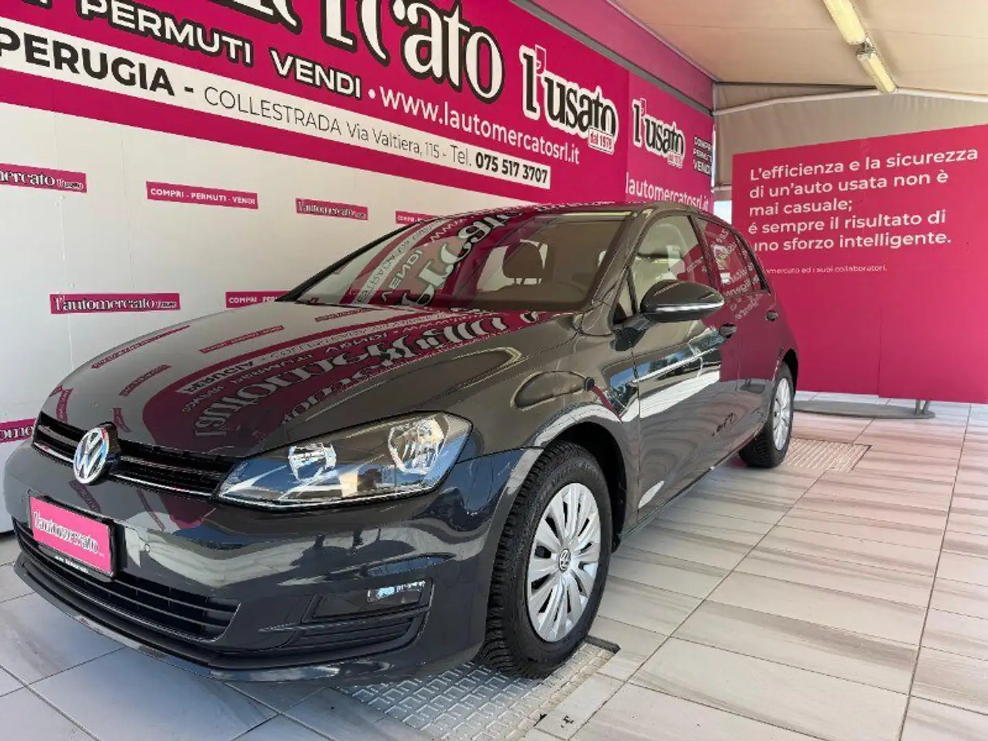 Volkswagen Golf Golf 1.6 TDI 90 CV 5p. Tech&Sound BlueMotion Tech Gris - 1