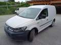 Volkswagen Caddy Kastenwagen 2,0 TDI 4MOTION Weiß - thumbnail 1