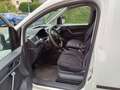Volkswagen Caddy Kastenwagen 2,0 TDI 4MOTION Weiß - thumbnail 4