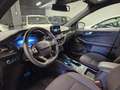 Ford Kuga 2.5 Full Hybrid 190 CV CVT 2WD ST-Line Bianco - thumbnail 8
