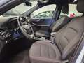 Ford Kuga 2.5 Full Hybrid 190 CV CVT 2WD ST-Line Bianco - thumbnail 9