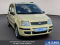 Fiat Panda Panda 1,2 ECO Dynamic Klima 1-Jahr Garantie Gelb - thumbnail 3