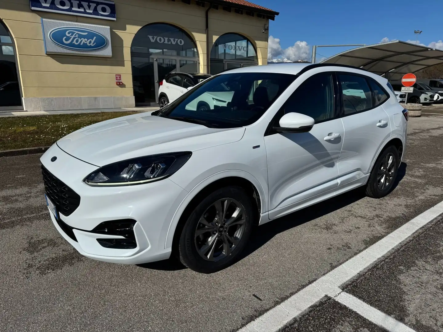 Ford Kuga St-Line 1.5 EcoBlue 120CV Automatica S&S Blanco - 1