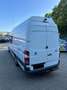 Mercedes-Benz Sprinter 309/311/313/315 CDI (906.631/633/635/637) Blanc - thumbnail 7