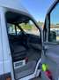 Mercedes-Benz Sprinter 309/311/313/315 CDI (906.631/633/635/637) Blanc - thumbnail 15