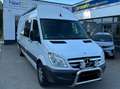 Mercedes-Benz Sprinter 309/311/313/315 CDI (906.631/633/635/637) Blanc - thumbnail 3
