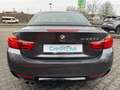 BMW 430 430d Cabrio Sport-Aut. M Sport Gris - thumbnail 7
