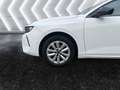 Opel Astra L Sports Tourer 1.2 Turbo Business Edition Weiß - thumbnail 15