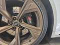Audi RS4 2.9 TFSI quattro Weiß - thumbnail 36