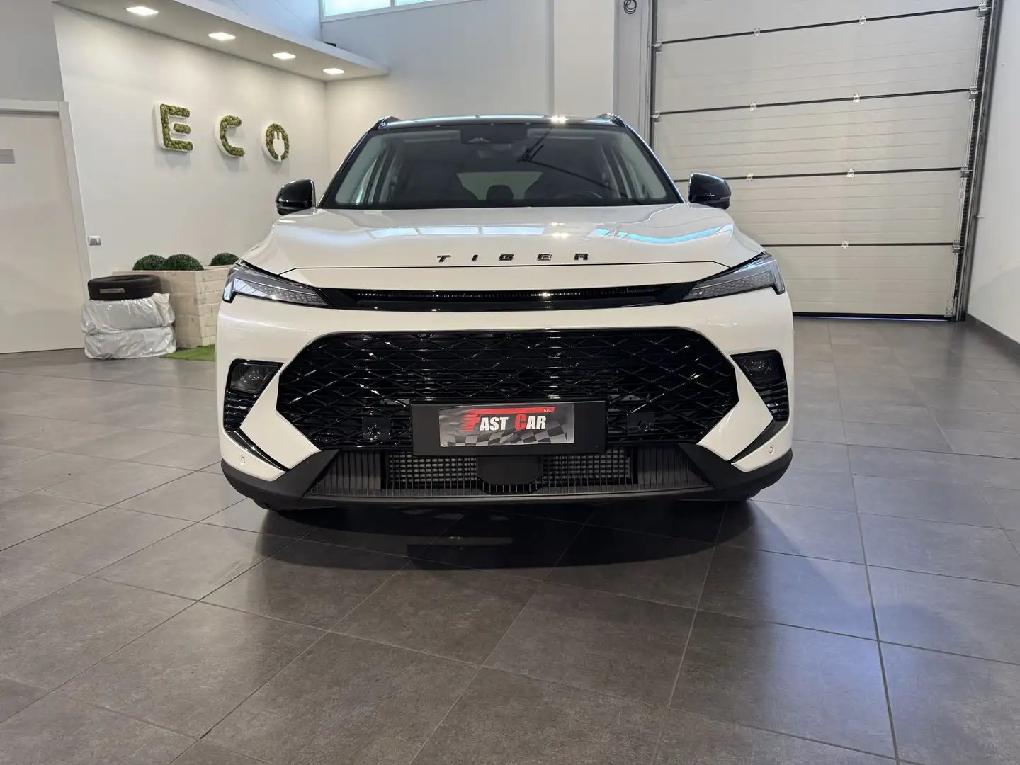 Tiger Six Six 1.5 T DI GPL 7DCT Weiß - 2