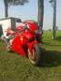 Ducati 900 SS I e Rosso - thumbnail 2