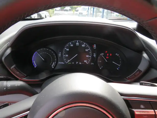 Mazda MX-30 view 10