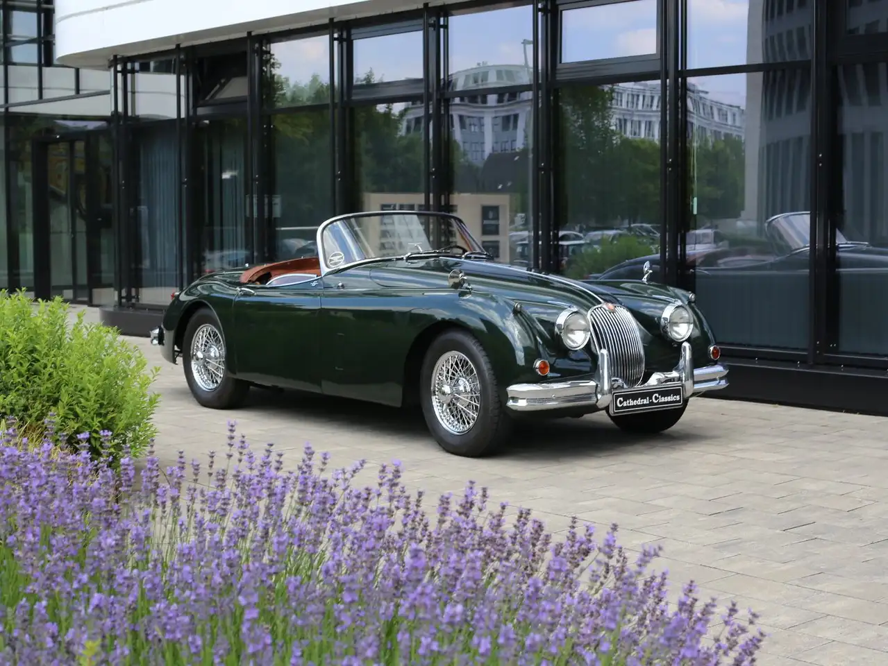 Jaguar XK