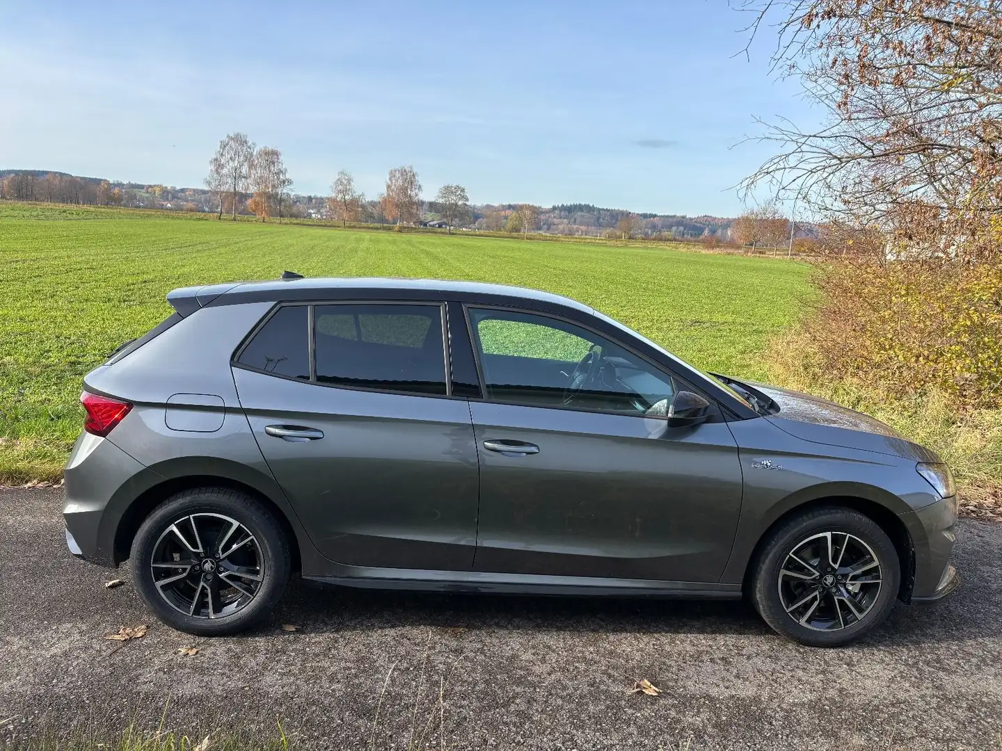 Skoda Fabia 1.0l TSI 85kW Monte Carlo Grau - 2