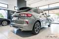 Ford Kuga Kuga 2.5 full hybrid ST-Line X 2wd 190cv cvt Grigio - thumbnail 6