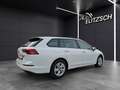 Volkswagen Golf VIII Variant TSI Life LED AID ACC PDC SH LM Weiß - thumbnail 6