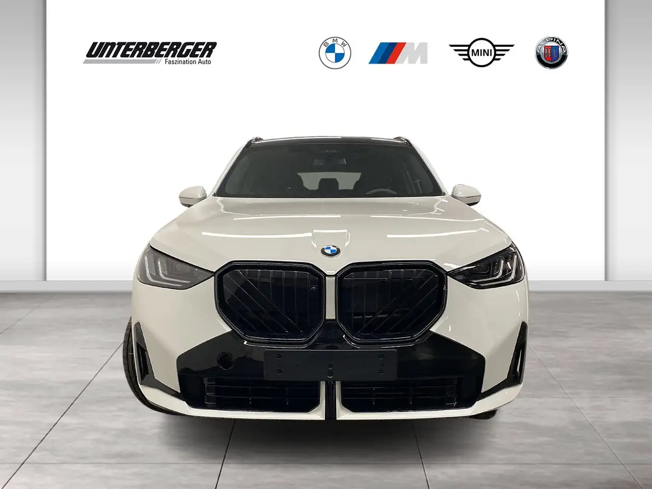 BMW X3 30e xDrive M Sportpaket HK HiFi DAB LED RFK 2
