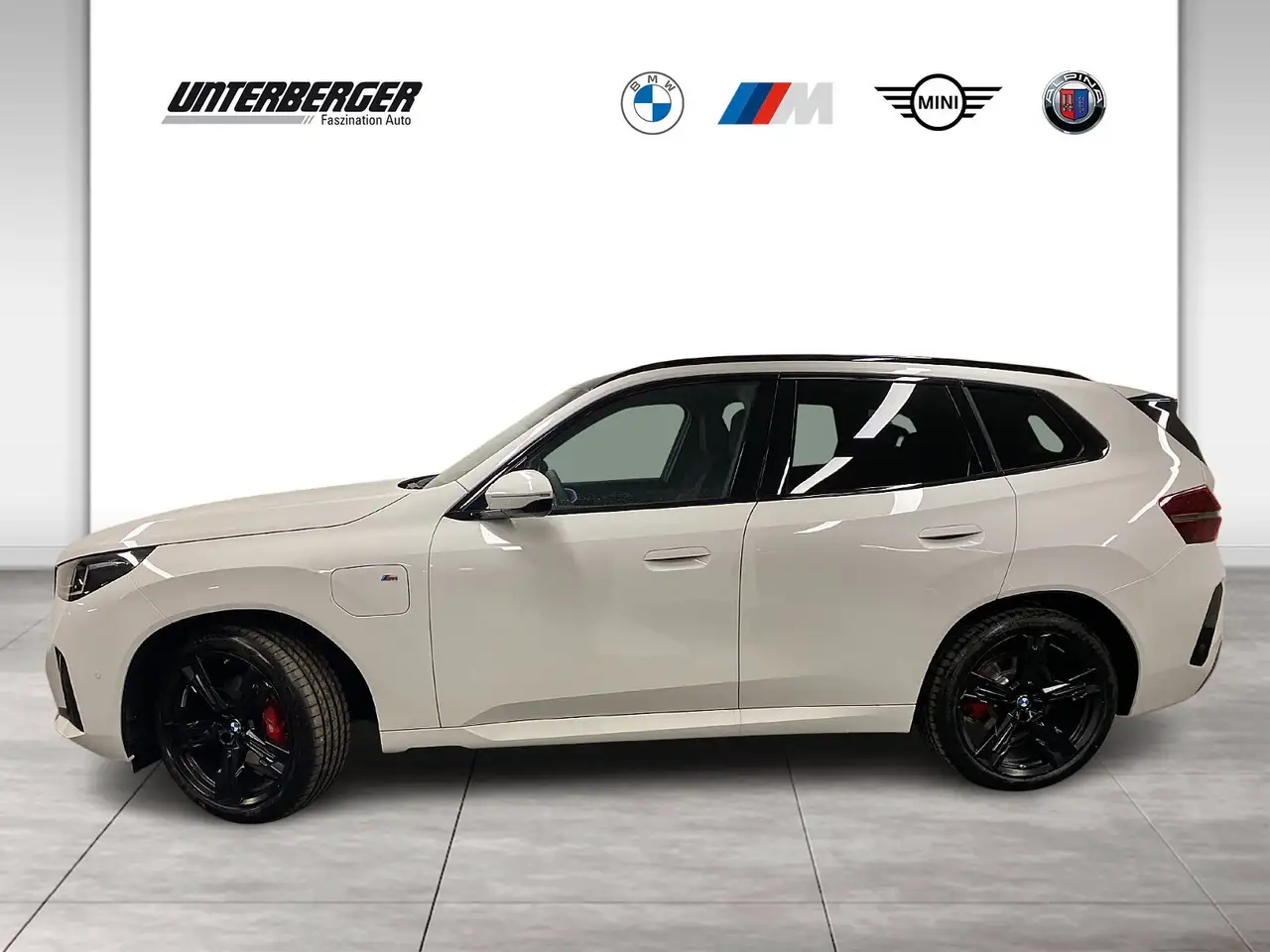 BMW X3 30e xDrive M Sportpaket HK HiFi DAB LED RFK 3