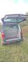 Volkswagen T6 Multivan Multivan Comfortline 4Motion AHK Standhzg Allrad Braun - thumbnail 10