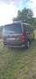 Volkswagen T6 Multivan Multivan Comfortline 4Motion AHK Standhzg Allrad Braun - thumbnail 9
