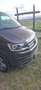 Volkswagen T6 Multivan Multivan Comfortline 4Motion AHK Standhzg Allrad Braun - thumbnail 6