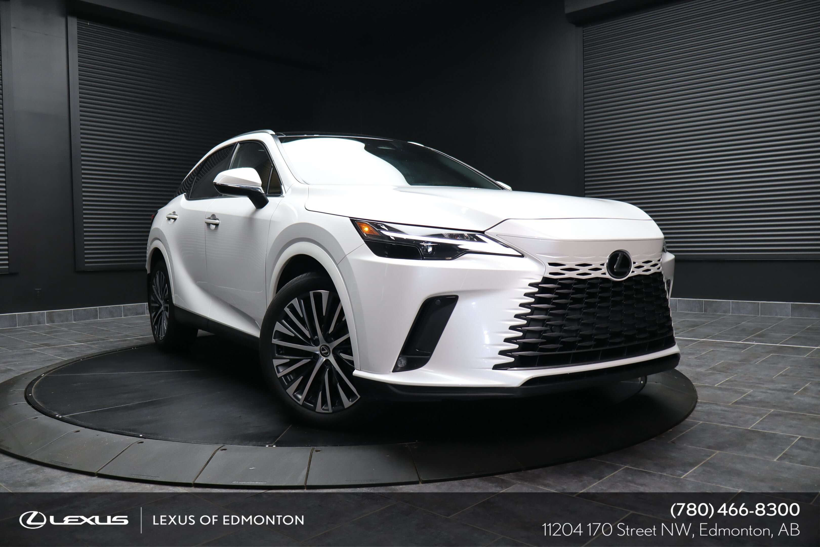 2024 Lexus RX 350  LUXURY PACKAGE