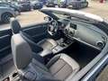 Audi A3 A3 Cabriolet 1,6 TDI design design Schwarz - thumbnail 10