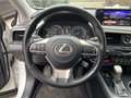 Lexus RX 450h Top zuverlässiger SUV* Panodach*gepflegt Weiß - thumbnail 11