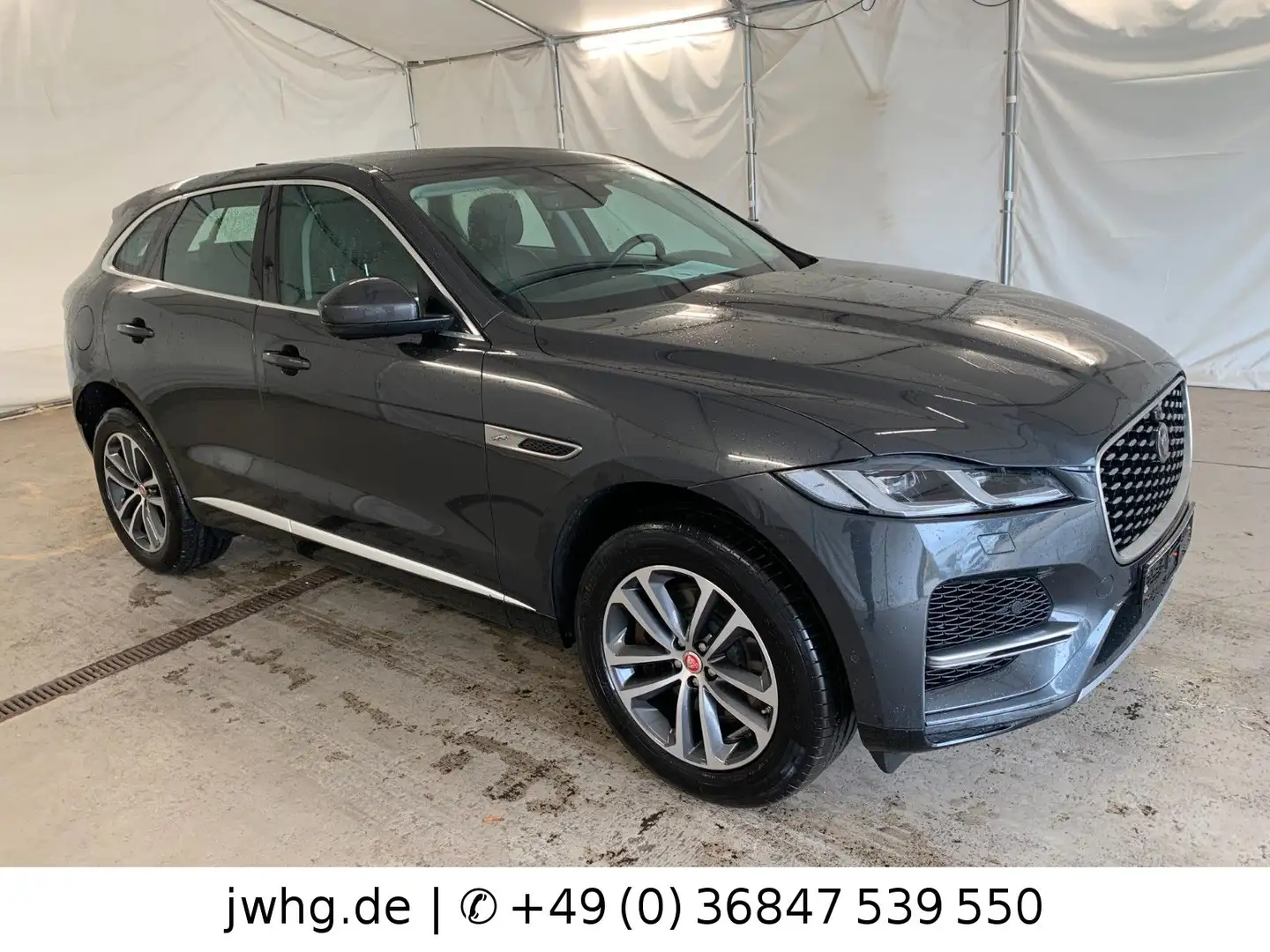 Jaguar F-Pace F-PACE AWD Hybrid LED Navi Vollleder 19" 360Grad Grau - 2