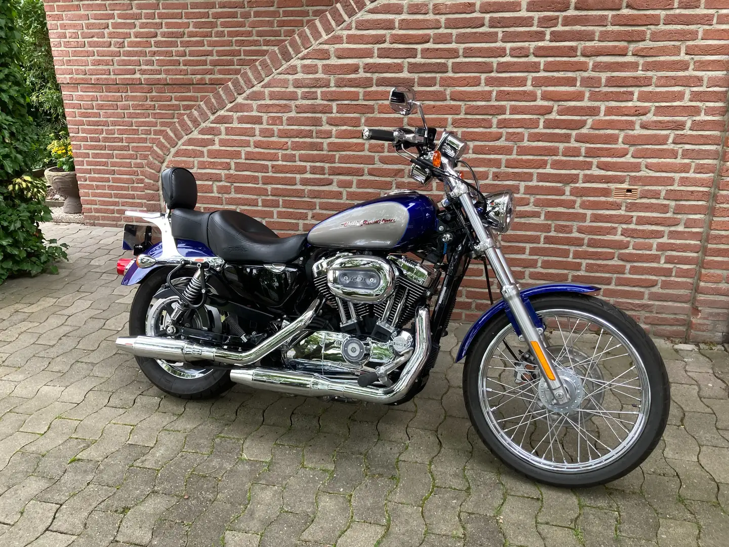 Harley-Davidson Sportster 1200 XL1200C Niebieski - 1