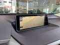 Lexus RX 450h L Luxury Gris - thumbnail 15