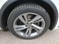 Volkswagen Tiguan 2,0TDI DSG R-Line 4M AHK LED Kamera Navi Weiß - thumbnail 10