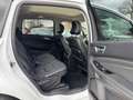 Ford S-Max S-MAX Titanium Weiß - thumbnail 22