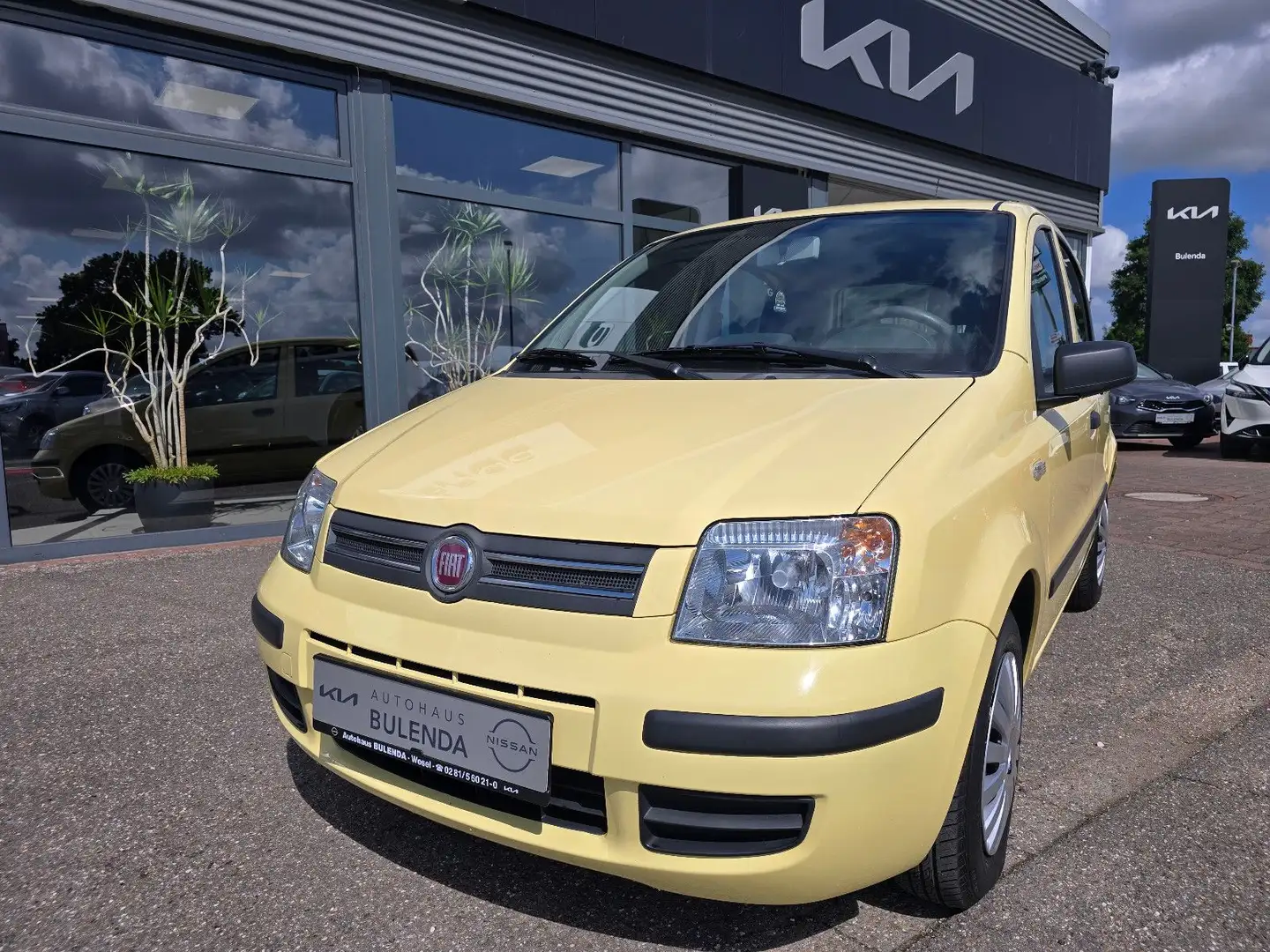 Fiat Panda 1.2 8V Dynamic Automatik Gelb - 2