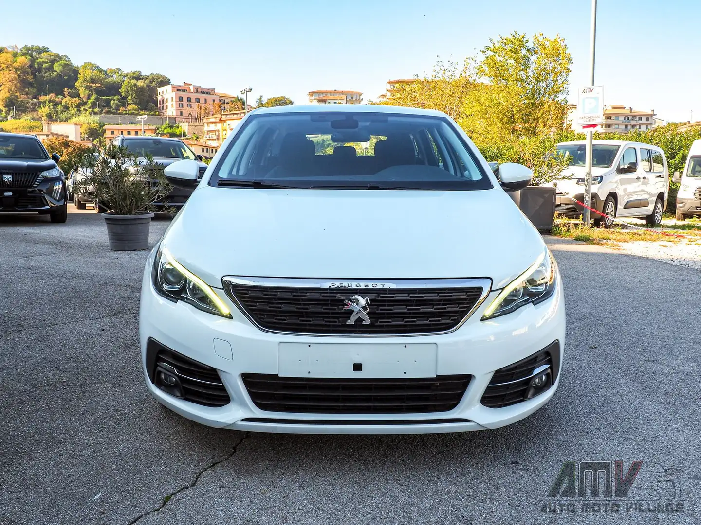 Peugeot 308 BlueHDi 100 S&S SW Business Bianco - 2