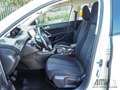 Peugeot 308 BlueHDi 100 S&S SW Business Bianco - thumbnail 8