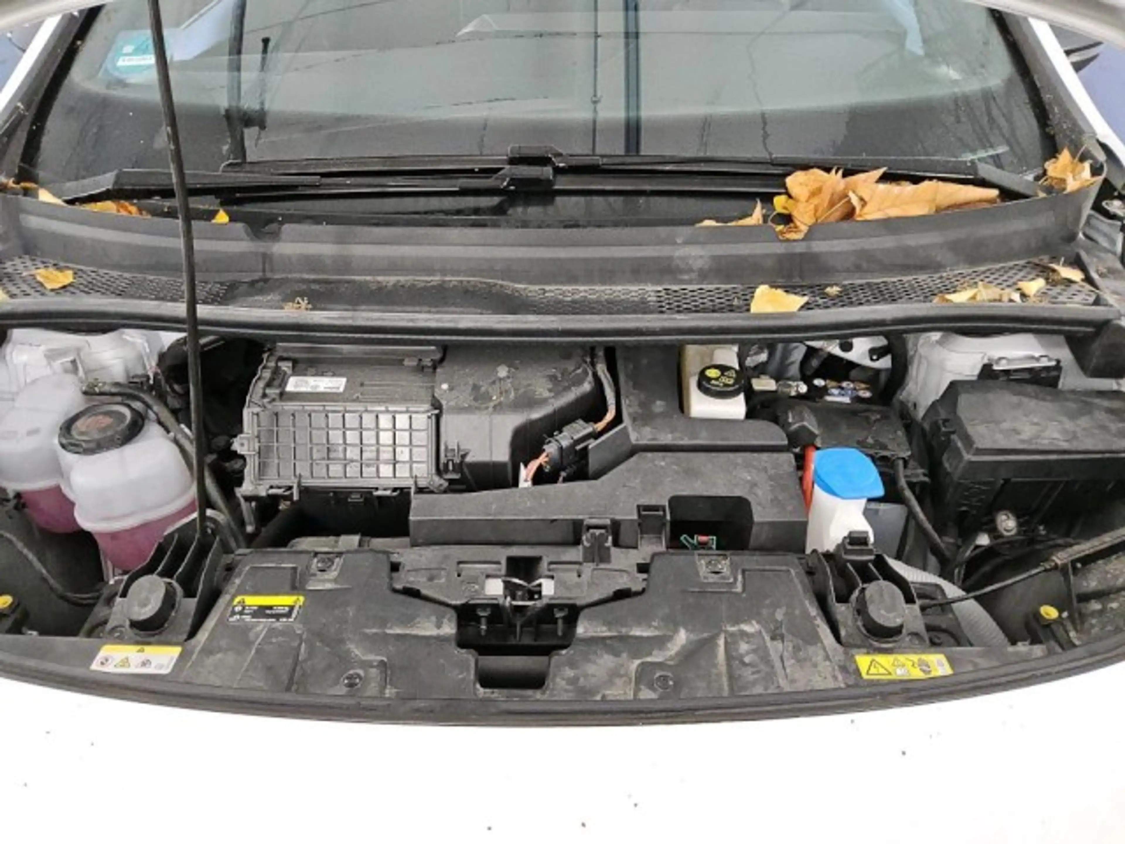 CUPRA Born 204PS/62kWh WÄPU+SHZ+ACC+RKAM+KESSY+CARPLAY Klima — photo 13